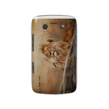 Male Lion Blackberry Case