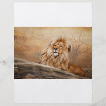 Male Lion Photo Flyer Design