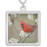 Male Northern Cardinal among pear tree Jewelry