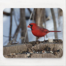 Male Red Cardinal Mouse Pads