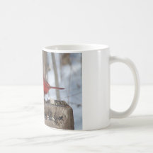 Male Red Cardinal Mug