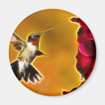 Male Ruby-throated Hummingbird Magnets