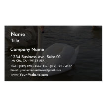 Male White Swan With Young Swans Business Cards