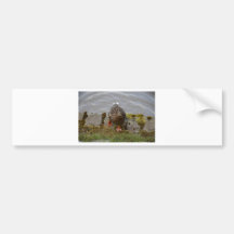 Mallard Duck Bumper Sticker