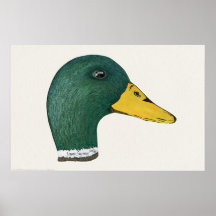 Mallard Duck (Drake), Watercolor Print