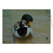 Mallard Duck Greeting Cards