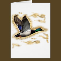 Mallard Duck Hunting cards