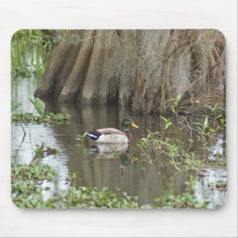 mallard duck mousepad