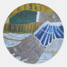 Mallard Duck Round Stickers