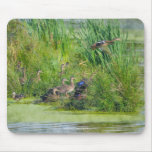 Mallard Ducks & Wetland Pond Wildlife Art Mousepad
