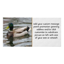 Mallard Photo Greeting Card