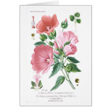 Mallows Cards