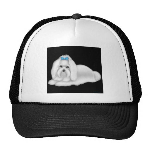 Maltese Dog Hat