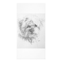 Maltipoo Photo Cards