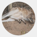 Mama Kangaroo with Joey in Pouch Stickers