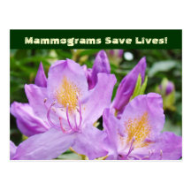 Mammograms Save Lives! postcards Flowers