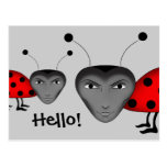 Man bugs postcard