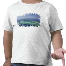 Mana Island and coral reef, Mamanuca Islands T-shirts
