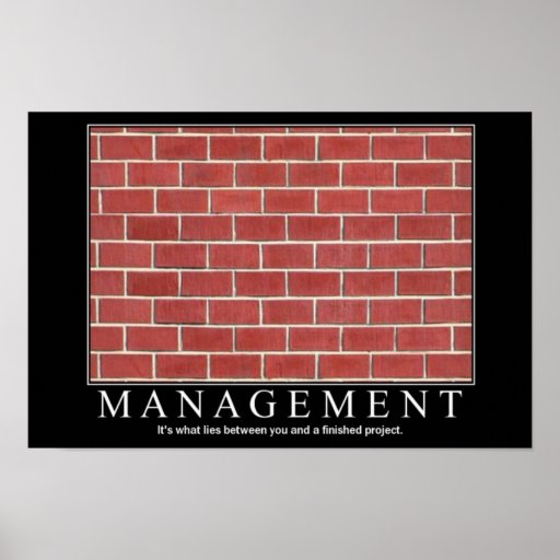 Management Posters