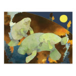 Manatee Family Post Card