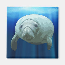 Manatee Magnet