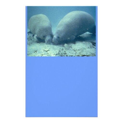 Manatee Moments Stationery