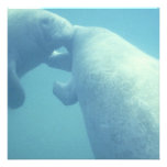 Manatee Photo Invitation