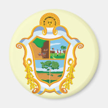 Manaus Amazonas Brasil, Brazil flag Refrigerator Magnet