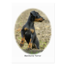 Manchester Terrier Business Card Templates