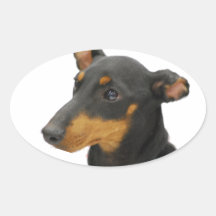 Manchester Terrier Stickers