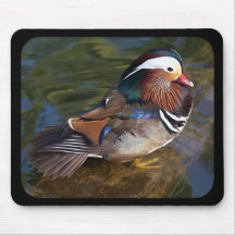Mandarin Duck Mousepad