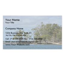 Mangrove trees on island business card template