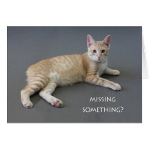 Manx Cat Birthday Card by Focus for a Cause