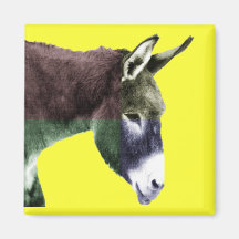 Many Colours Burro - Donkey Fridge Magnet