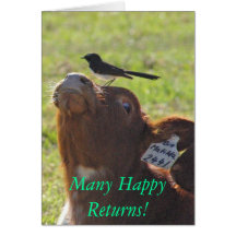 Many Happy Returns! Greeting Cards