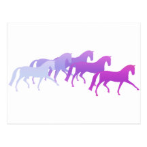 Many Horses (purples) Postcards