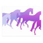 Many Horses (purples) Postcards