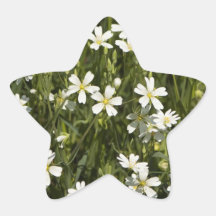 Many little white flowers in a green field star stickers