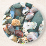 Many Shells Drink Coasters
