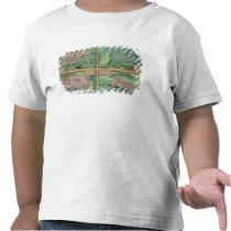Map of Calais, Malta, Rhodes, and Famagusta, from t-shirts