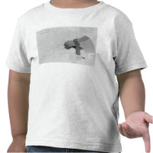 Map showing the Distribution of Deaths Tee Shirt