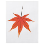 Maple Leaf Flyer
