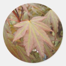 Maple leaf round sticker