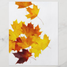 Maple leaves flyer design