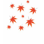 Maple Leaves Shirt