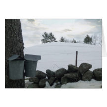Maple Syrup Buckets NH 2013 Cards