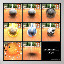 Marble's Life Poster