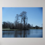 March 4th_Swampy Park #3 Poster