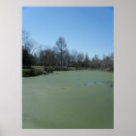 March 4th_Swampy Park #5 Poster