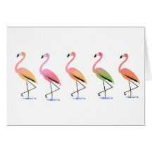 March of the Tropical Flamingos Cards